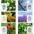 thumbnail image 2 of 12 Packs Floral Scented Sachets for Drawer and Closet, Long-Lasting Air Freshener Sachets Bags Drawer deodorizers Fresh Scents, Home Fragrance for Lover(Floral 6 Scent), 2 of 4