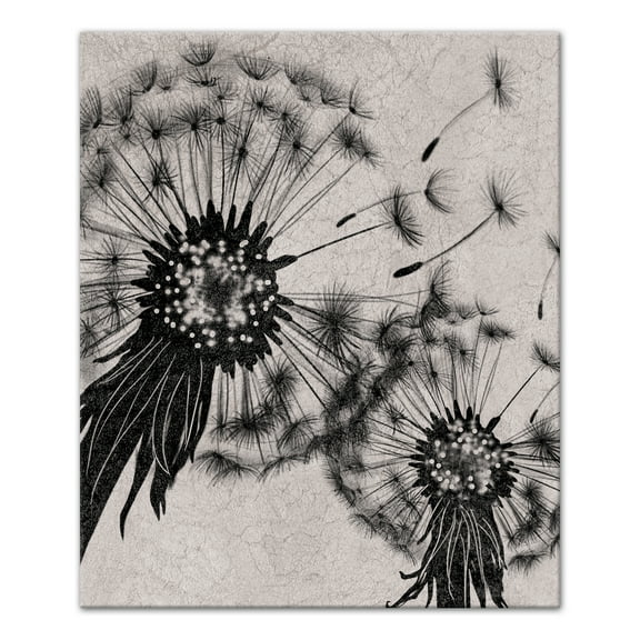 Creative Products Black and White Dandelion 20x24 Canvas Wall Art