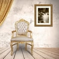 thumbnail image 3 of Geyman, Vitaly 24x32 Gold Ornate Wood Framed with Double Matting Museum Art Print Titled - Sepia Waters III, 3 of 4