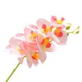 thumbnail image 2 of Koszal 1Pc Artificial Flower Butterfly Orchid Desktop Decor Faux Silk Flower Parties Decorative Simulation Plant for Home, 2 of 7