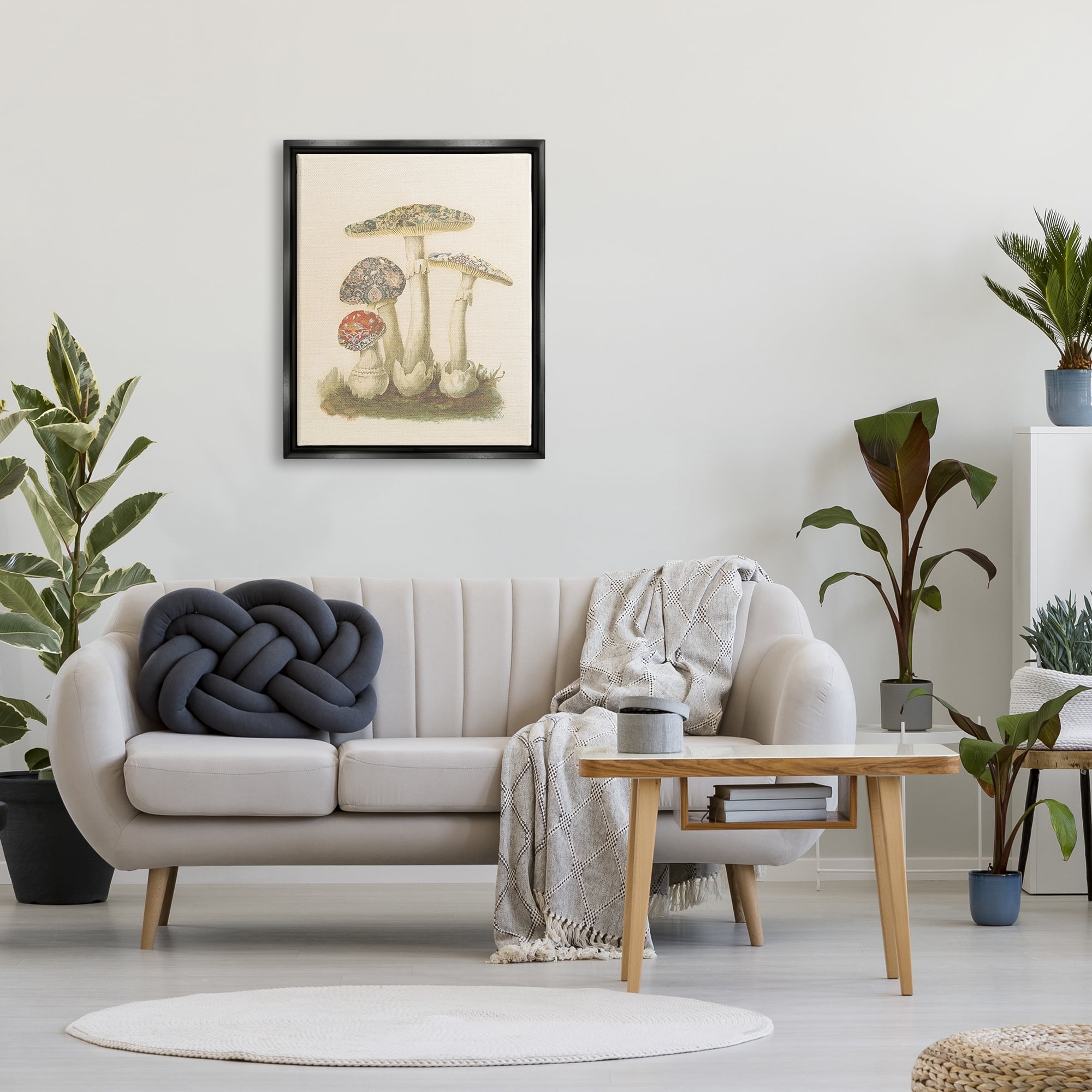 Stupell Industries Vintage Patterned Mushrooms Botanical & Floral Painting Black Floater Framed Canvas Art Print Wall Art, 25 x 31