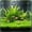 Multicolor-Free Size/E, variant on Dense Artificial Aquarium Grass Mat 60cm Plastic Plant Substrate Green Fish Tank Decor