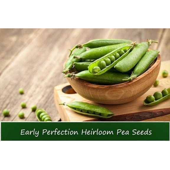 Vegetable Seeds -Early Perfection Sweet Shelling Pea--250 Seeds -Heirloom-Natural Vegetable Seed