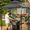 Grey, variant on TANGJEAMER Outdoor Grill Gazebo Tent Barbeque Grill Canopy for Outdoor Patio Backyard Grill Shelter Hardtop (L93 x W62 x H98 Inch) Black