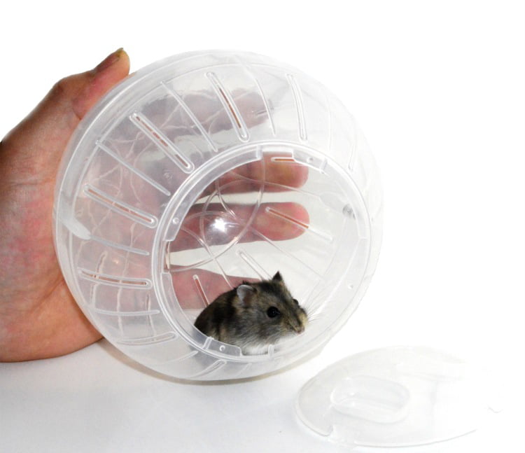 1X Pet Rodent Mice Jogging Gerbil Plastic Hamster Rat Play Toy Exercise Ball TYN 