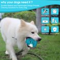 thumbnail image 6 of M.C.Works. Dragon Egg Chew Dog Toy for Aggressive Chewers, Blue, 6 of 6