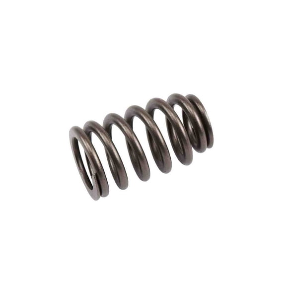 GM Genuine Parts 12592506 Engine Valve Spring
