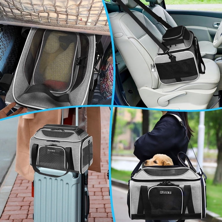 seat jetblue pet carrier policy