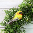 thumbnail image 3 of Cornucopia Brands Yellow Goldfinches (6-Pack); Artificial Bird Ornaments for Crafts, Christmas Tree and Seasonal Displays and Wreaths, 2.5 x 4 Inches, 3 of 6