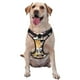 thumbnail image 1 of Balery Sea Shell Arnés para Perros Grandes Antitirones, Arnés con Correa para Gato, Arnés Tipo Chaleco para Perros Pequeños-X-Large, 1 of 6