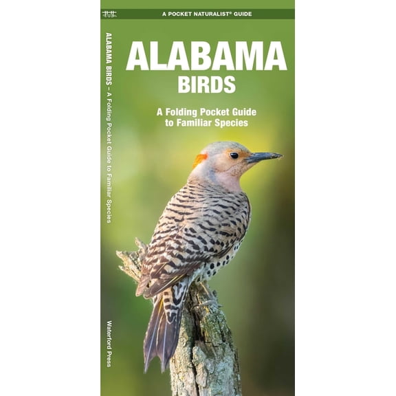 Pocket Naturalist Guides: Alabama Birds: An Introduction to Familiar Species (Paperback)