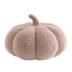 thumbnail image 3 of Almohadas de lanzamiento de calabazas, cojín de peluche de calabaza gris, almohada decorativa para el hogar, adorno de calabaza pequeña linda, 3 of 6