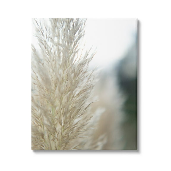 Stupell Industries Natural Pampas Grass Photography Scene Photograph Gallery Wrapped Canvas Print Wall Art, Design by Jason Johnson