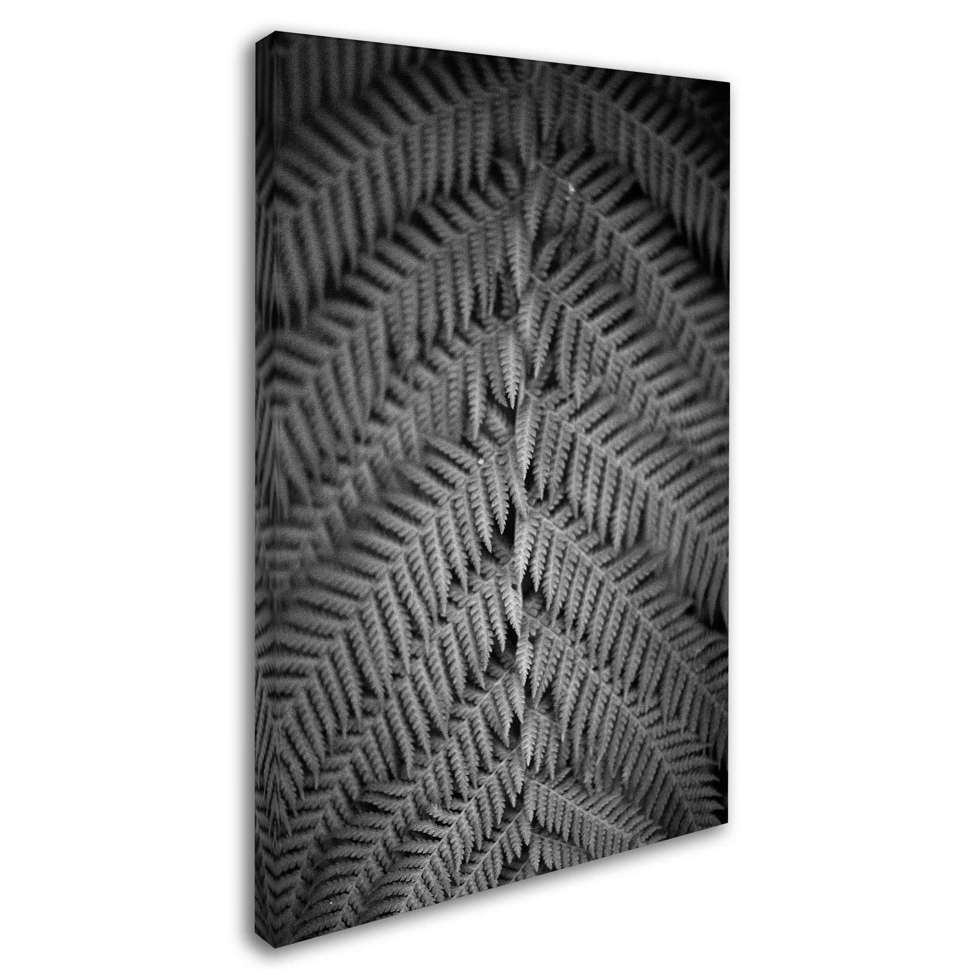 Trademark Fine Art 'Mr Kurtz' Canvas Art by Geoffrey Ansel Agrons
