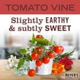 thumbnail image 4 of Mrs. Meyer's Clean Day Multi-Surface Everyday Cleaner, Tomato Vine Scent, 16 Fl Oz Bottle, 4 of 6