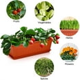 thumbnail image 2 of NOGIS 3 Packs 17 Inches Terracotta Color Flower Box Plastic Vegetable Planters for Windowsill, Patio, Garden, Home Décor, Porch, 2 of 7