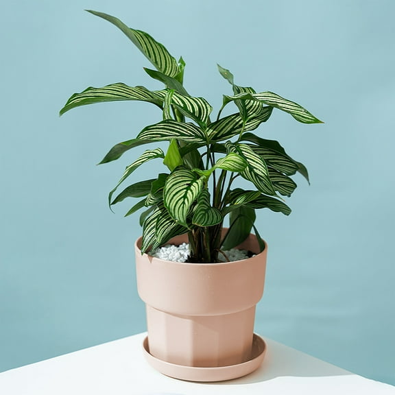 Modern Decorative Flower Pot with Drainage Hole, Plastic Planters for Indoor Plants, Balcony Garden, Office Decor, Ideal Gift for Gardening Enthusiasts