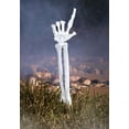 thumbnail image 3 of Boney Skeleton Arm Decoration, 3 of 3