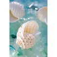 thumbnail image 3 of Blaustein, Alan 11x14 Black Modern Framed Museum Art Print Titled - Crystal Cove - 24, 3 of 5