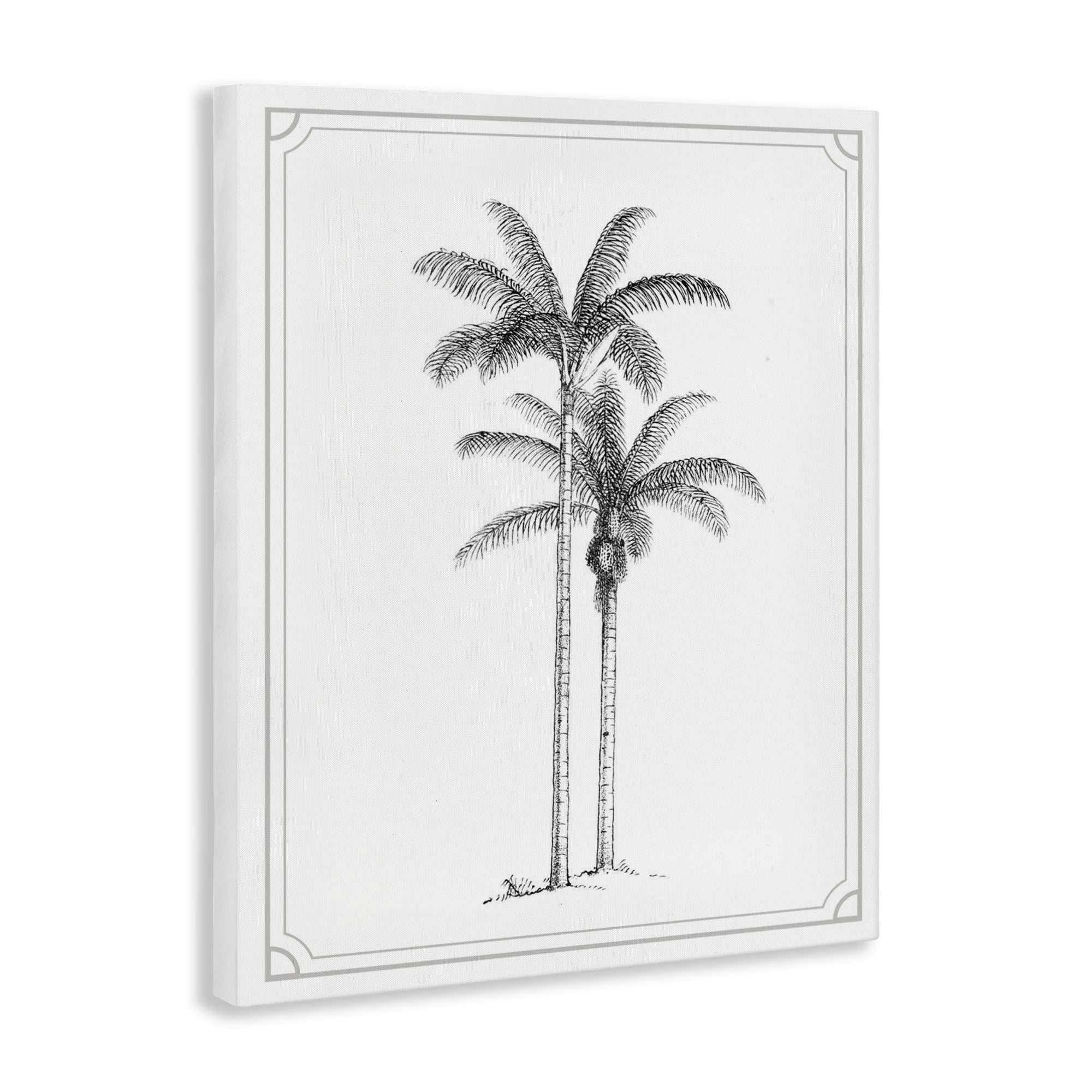 Vintage Simple Palm Tree Canvas Wall Art, design by Lettered and Lined