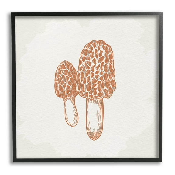 Stupell Industries Detailed Mushroom Latin Study Drawing Graphic Art Black Framed Art Print Wall Art, Design by Kim Allen