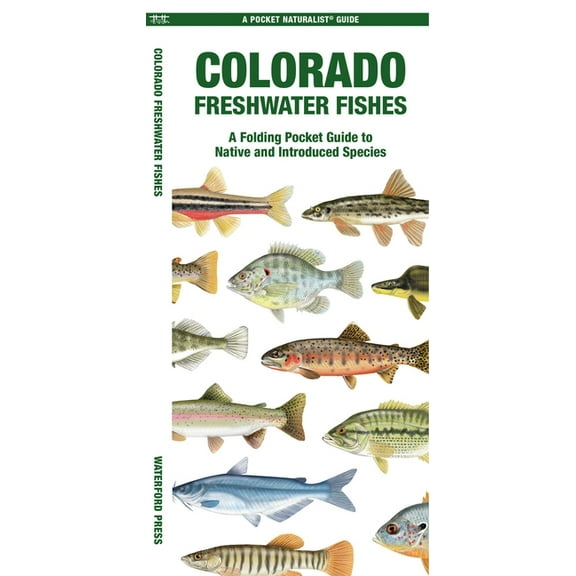 Nature Observation North America Colorado Freshwater Fishes, (Paperback)