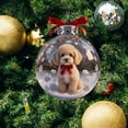 thumbnail image 3 of 2026 Wildlife Wonders Collection Crystal Acrylic Ornament, Vivid 2D Flat Animal Woodland Christmas Ornaments, Clear Christmas Balls, Western Christmas Tree Ornaments, 3 of 6