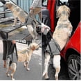 thumbnail image 5 of Dog Sling For Large Dogs Hind Leg Support To Help Rehabilitate The Hind Limbs Of Elderly Dogs With Weak Hind Legs Disabilities, 5 of 5