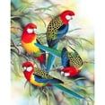thumbnail image 1 of Cuadros Decorativos 11CT impreso completo bordado cuatro loro costura DIY algodón arte Craft Kit Ehuebsd Nuevos Originales, 1 of 8