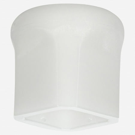 

Picard 1B Nylon Caps for Riveting Hammer 300g