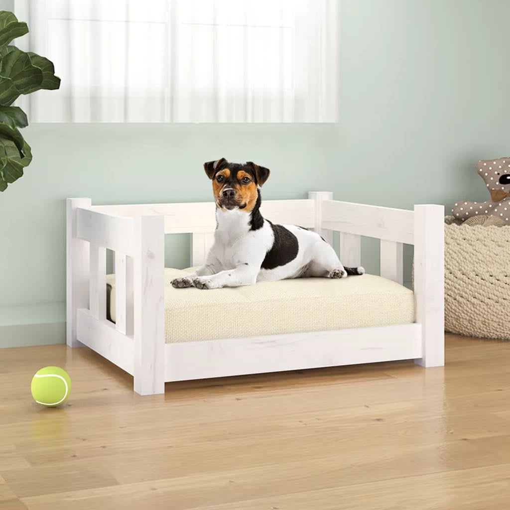 Kuranda Raised Cot Pet Bed Orthopedic Chewproof Elevated Outdoor Large Almond PVC Frame Smoke Walmart