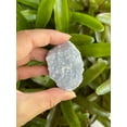 thumbnail image 2 of Angelite Raw Natural Stone, 1-2 Inch Rough Angelite, 2 of 10