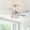 Silver, variant on Parrot Uncle Ceiling Fan with Lights 5 Reversible Blades Ceiling Fan with Remote Control 52 inch, Chrome