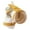 Yellow-M, variant on Pet Tube Habitat With Functionality Water Resistant Fabric Safe Exploration Space For Rodents And Exotic