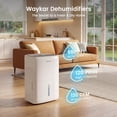 thumbnail image 2 of Waykar 120 Pint Dehumidifier for Basements & Home, up to 6500 Sq Ft, Energy Star, 2 of 11