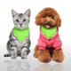thumbnail image 3 of Bufanda triangular con cuello para mascotas de cuero bandana ajustable, 3 of 8