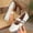 Beige, variant on Women's Buckle Detail Flats, Round Toe Spring Style Simple Design Solid Color Casual Shoes Wine