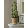 thumbnail image 3 of Advantage Canseco Beige Distressed Texture Wallpaper, 20.9-in by 33-ft, 57.48 sq. ft., 3 of 3
