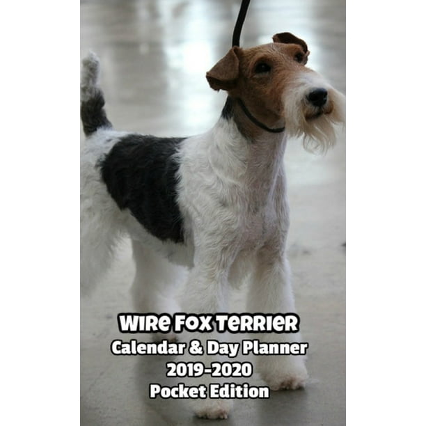 Wire Fox Terrier Calendar & Day Planner 2019-2020 Pocket ...