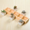 thumbnail image 6 of SPRING PARK Multi Grid Wooden Flower Pot Bonsai Planter Box Desktop Storage Holder Organizer, 6 of 7