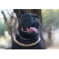 thumbnail image 4 of Collar Para Perro Cadena Cubana Dorada Diferentes Tallas, 4 of 7