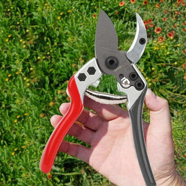 Fine online pruning shears