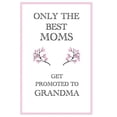 thumbnail image 1 of Only The Best Moms Get Promoted to Grandma : Only The Best Moms Get Promoted to Grandma Mothers Day Gift, 110 Page Ruled Notebook, 6x9inch, Novelty Mothers Day Gifts from Daughter or Son (Paperback), 1 of 1