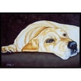 thumbnail image 1 of Carolines Treasures AMB1072MAT Naptime Yellow Labrador Indoor or Outdoor Mat, 18 x 27, 1 of 4