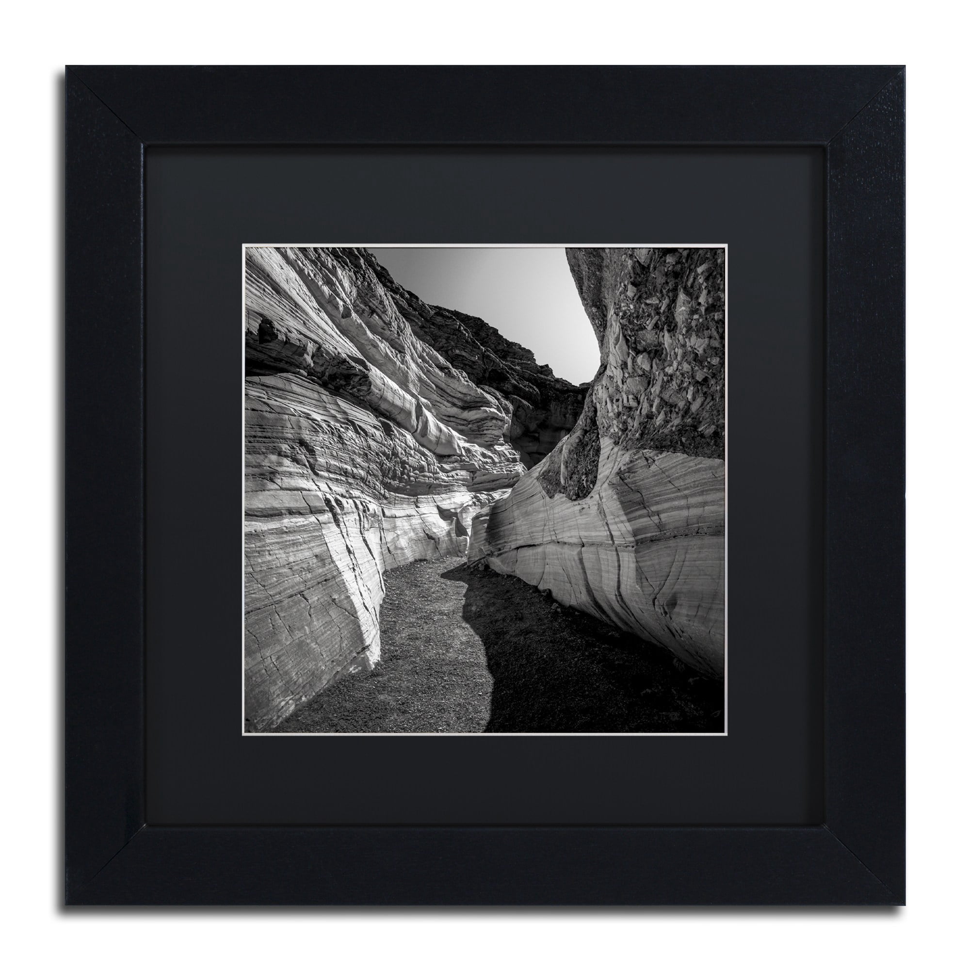 Trademark Fine Art "Yin Yang" Canvas Art by Dave MacVicar, Black Matte, Black Frame