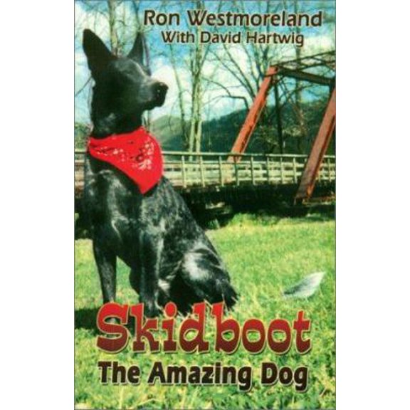 Pre-Owned Skidboot the Amazing Dog (Paperback) 1571687300 9781571687302