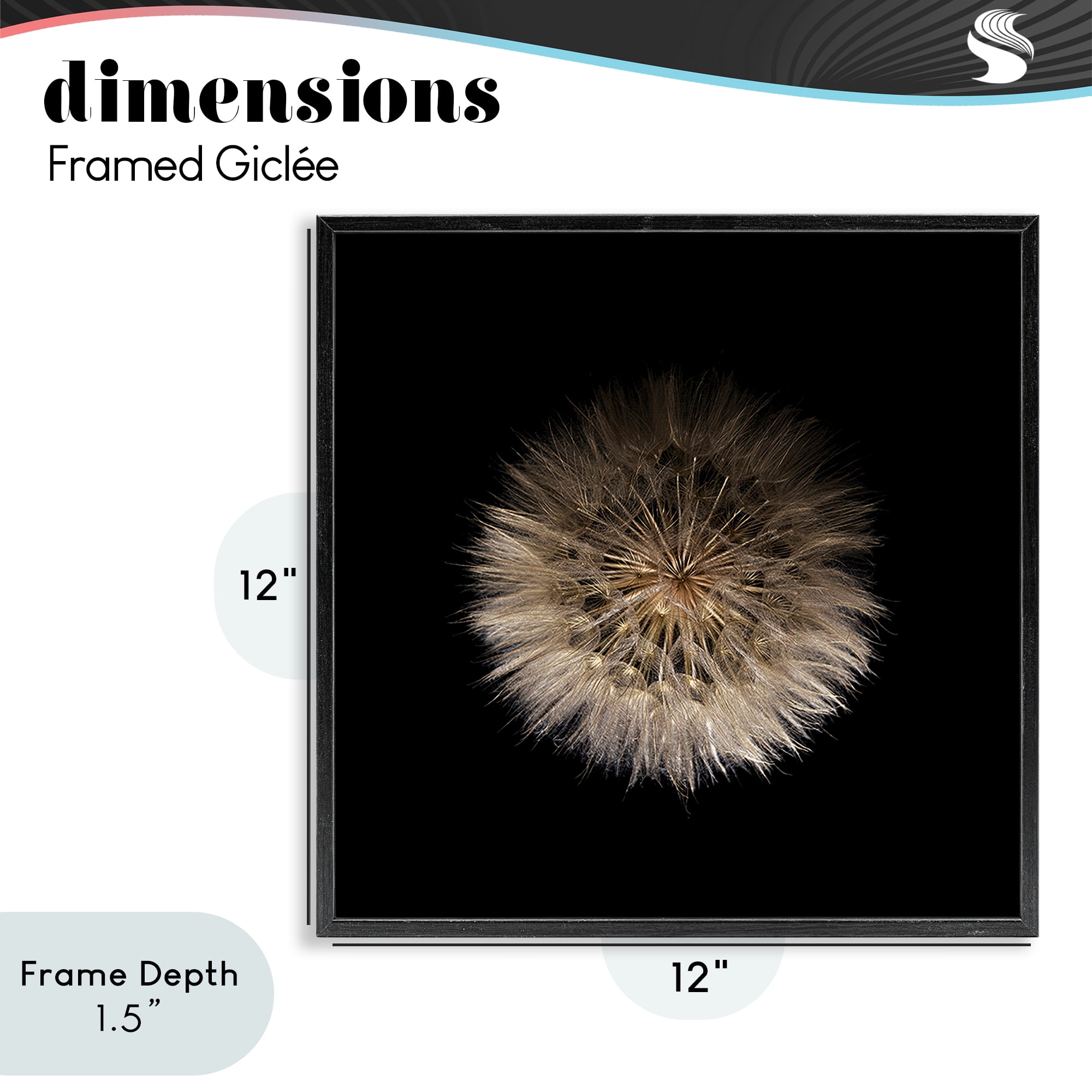 Stupell Industries Wispy Dandelion on Black Black Framed Giclee Art, design by Beth Adoette