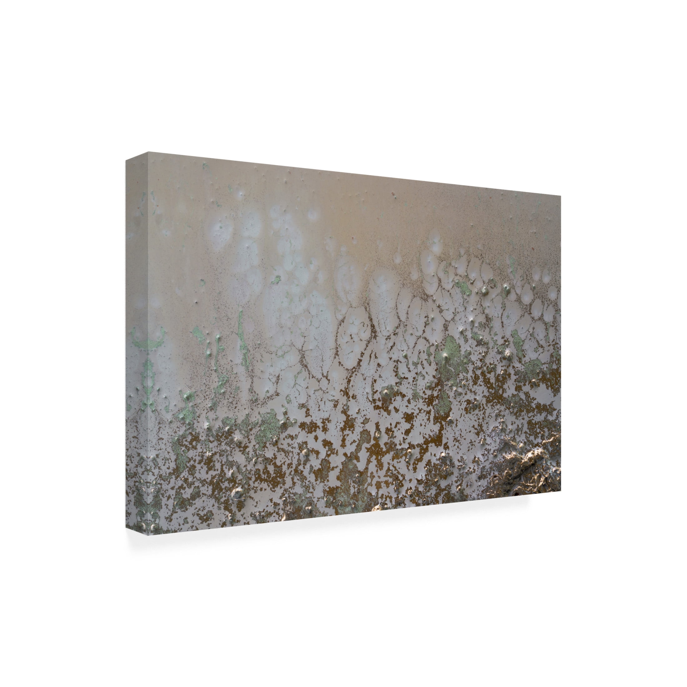 Canvas Wall Art - Petra Meikle de Vlas 'Lifted' Wall Art for Living Room, Bedroom, or Office Décor by Trademark Fine Art - 19 x 12 Inches