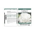 thumbnail image 2 of Snowbally Y Improved Cauliflower Seeds - 3 Gram Packet - Non-GMO, Heirloom Vegetable Garden Seeds, 2 of 8