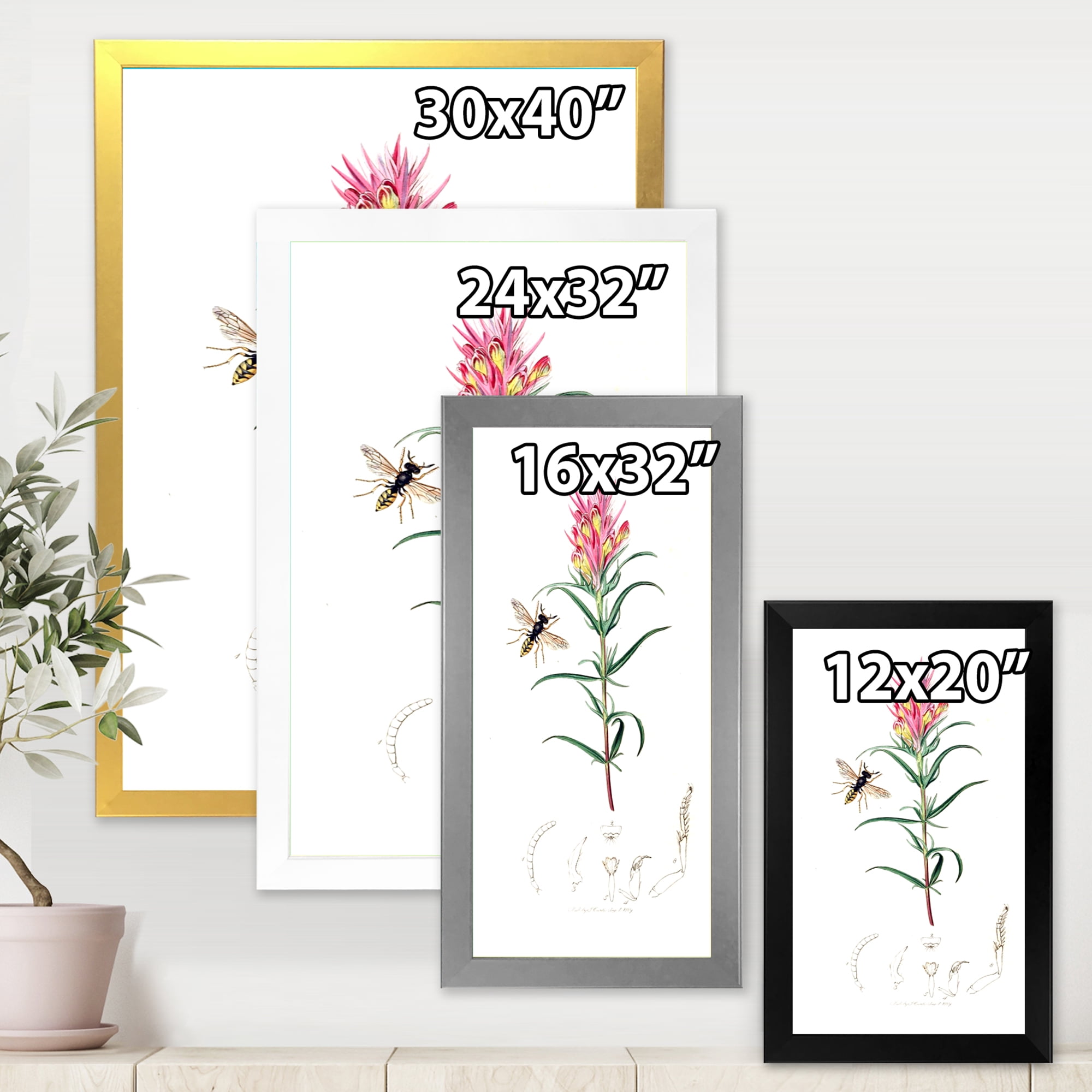 Designart 'Ancient Insects and Plants I' Farmhouse Framed Art Print